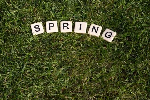 Spring 스톡 사진