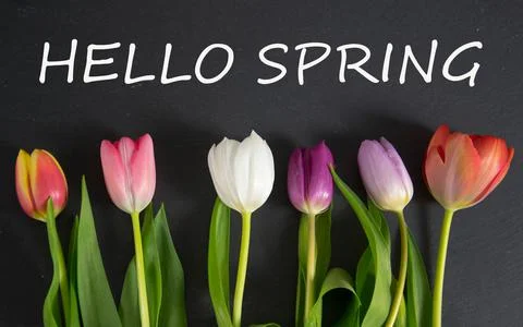 Spring Stock Photos