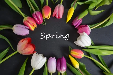 Spring Stock Photos