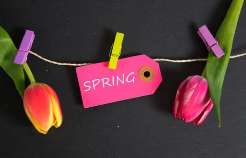 Spring Stock Photos
