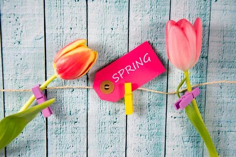 Spring Stock Photos