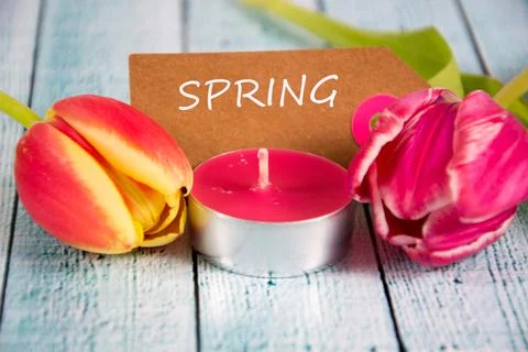 Spring Stock Photos