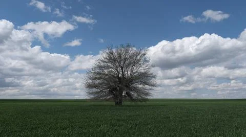 Spring Stock Photos