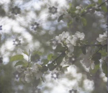 Spring. Stock Photos
