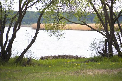 Spring. Stock Photos