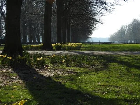 Spring Stock Photos