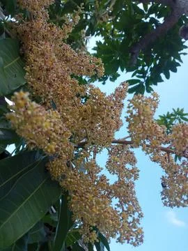 Spring Fotos de archivo