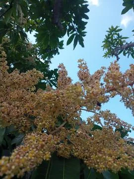 Spring Fotos de archivo