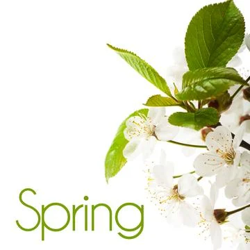 Spring 库存照片