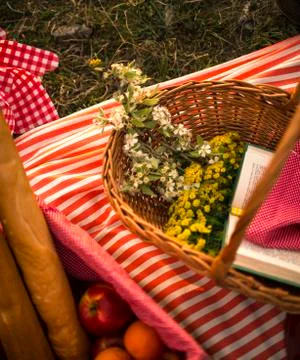 Spring picnic basket Stock Photos