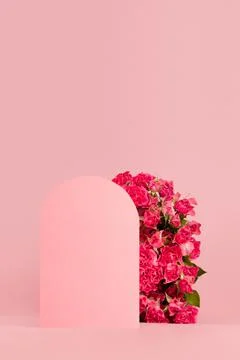 Spring pink roses as arch with empty rounded door as podium for presentation  Stock Photos