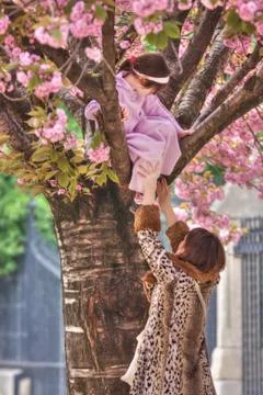 Spring in pink tones Stock Photos