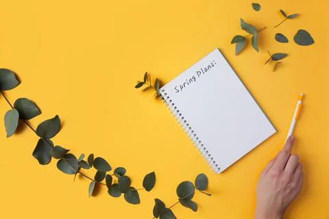 Spring plans text. Eucalyptus leaves and a Stock Photos