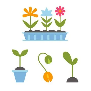 Spring plants in pots. Stock Illustration