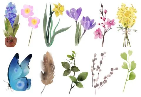 Spring plants set. Watercolor Easter floral elements. Yang brunches. Blossom Illustrazione stock