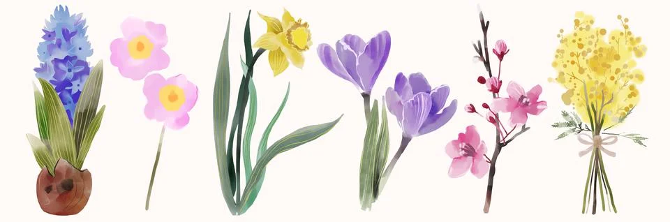 Spring plants set. Watercolor Easter floral elements. Yang brunches. Blossom Illustrazione stock
