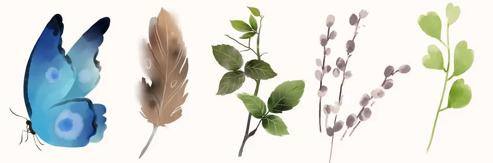 Spring plants set. Watercolor Easter floral elements. Yang brunches. Blossom イラスト素材