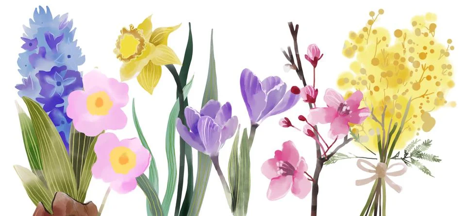 Spring plants set. Watercolor Easter floral elements. Yang brunches. Blossom Stockillustratie