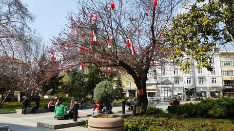 Spring in Plovdiv City Center - Trees, Pedestrians, Martenitsi Vídeos de archivo 105030634