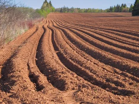 Spring plowed field Stock Photos