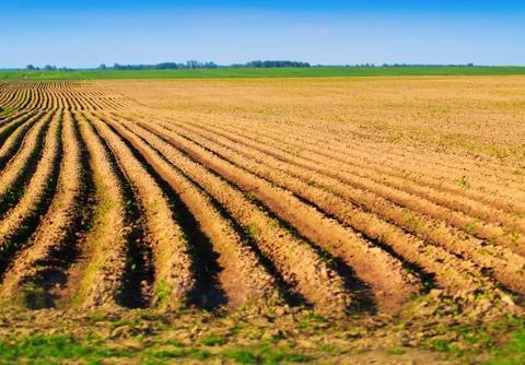 Spring plowed field Stock Photos