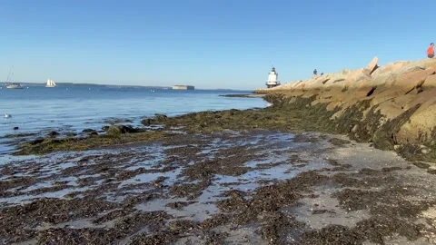 Spring Point Ledge Lighthouse in Portland, Maine Stock Footage 168755404