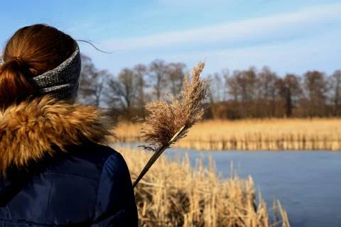 Spring in Poland 스톡 사진