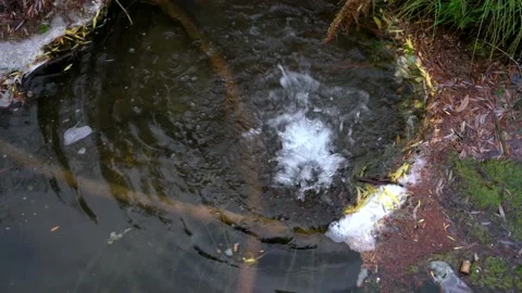 A spring in a polluted body of water in a public place. Destruction of nature Vidéo 145584945