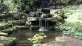 Spring Pond 7485 HD Footage