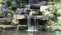 Spring Pond 7486 HD Footage