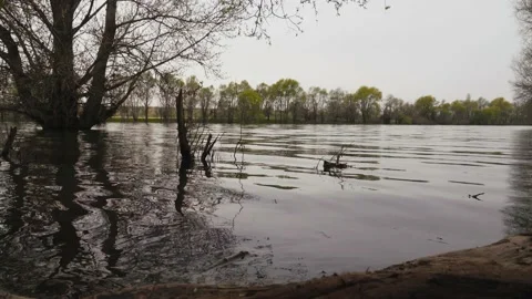 Spring Pond 動画素材 238396749