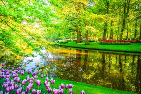 Spring pond in park Stock Photos