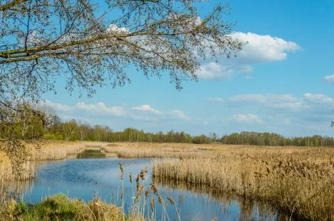  Spring pond Foto stock