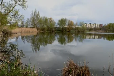 Spring pond with tree reflections and dramatic cloudy sky in rural countrysid Фото
