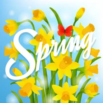 Spring Post Card With Narcissus Stock Illustration