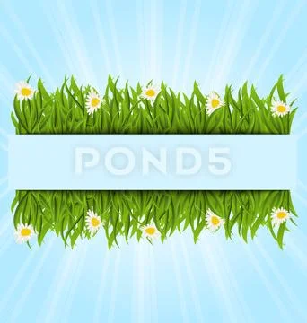 Spring postcard with grass field and flowers chamomiles, copy space for you.. Stock Illustration