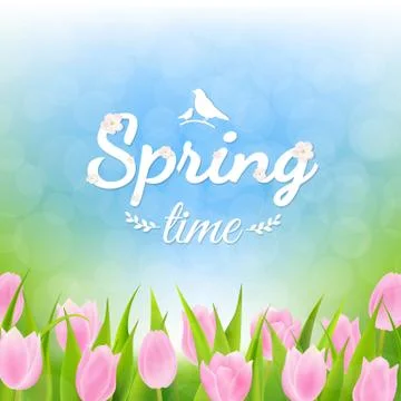 Spring Postcard With Pink Tulips Stock Illustration