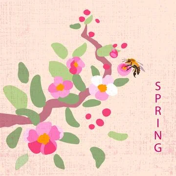 Spring poster square Frame traditional flowers apple tree branch pink template Stock Illustration