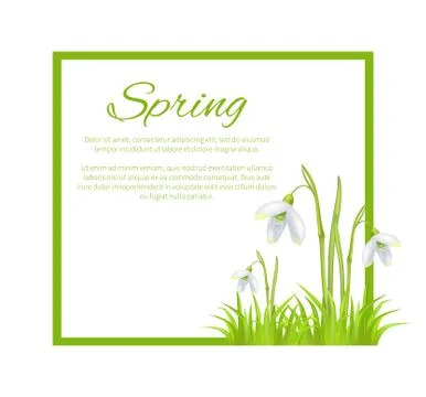 Spring Poster with Text in Frame Colorful Flowers Stock Illustration