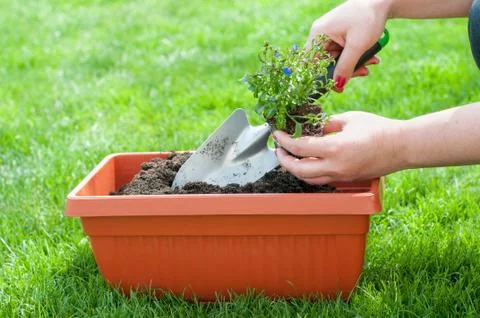 Spring preparations Stock Photos