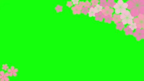 Spring promo 2 Stock Footage 321524237