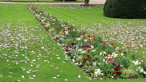 Spring in a public park. Video stock 136456485