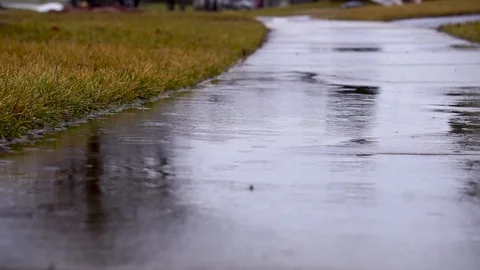 Spring Puddle 스톡 동영상 86491281