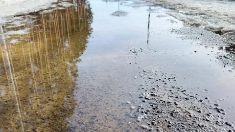 Spring puddle of melt water on a rural road with forest reflection Video stock 330405551