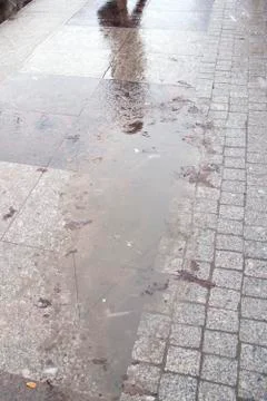 The spring puddle on the pavement with the reflection of the human Stock Photos