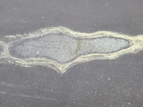 A spring puddle with yellow pollen from flowering trees. 写真素材