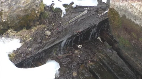 Spring with pure transparent water Video stock 61489568