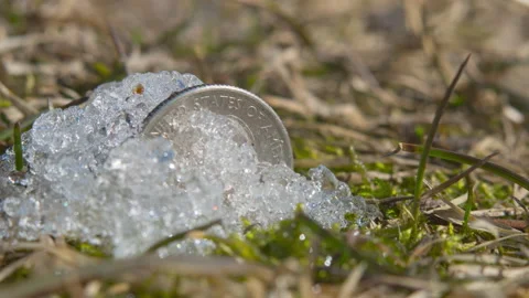 In the spring, a quarter dollar coin thawed out from under the snow Stock Footage 172343092