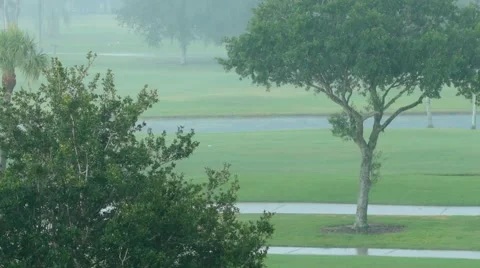 Spring Rain 01 (1080p 23.976) Stock Footage 50083490