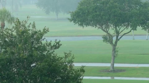Spring Rain 01 (1080p 25fps) Stock Footage 50083489